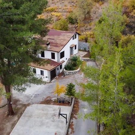 Villa The Cosy Pine